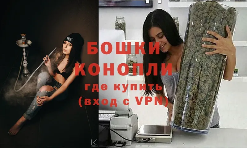 Канабис OG Kush  Волхов 